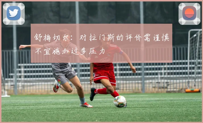 舒梅切尔：对拉门斯的评价需谨慎不宜施加过多压力