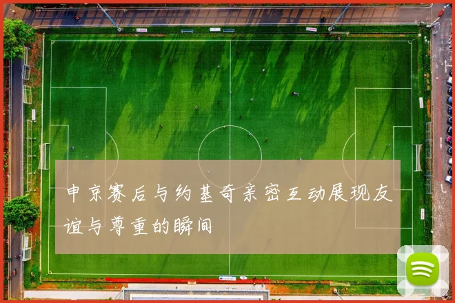 申京赛后与约基奇亲密互动展现友谊与尊重的瞬间