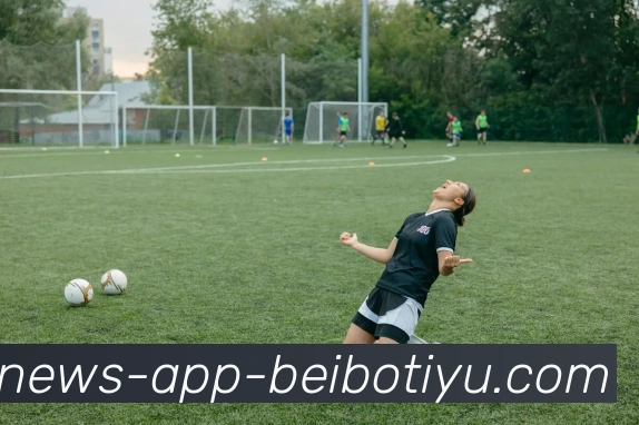 贝博体育平台生态图